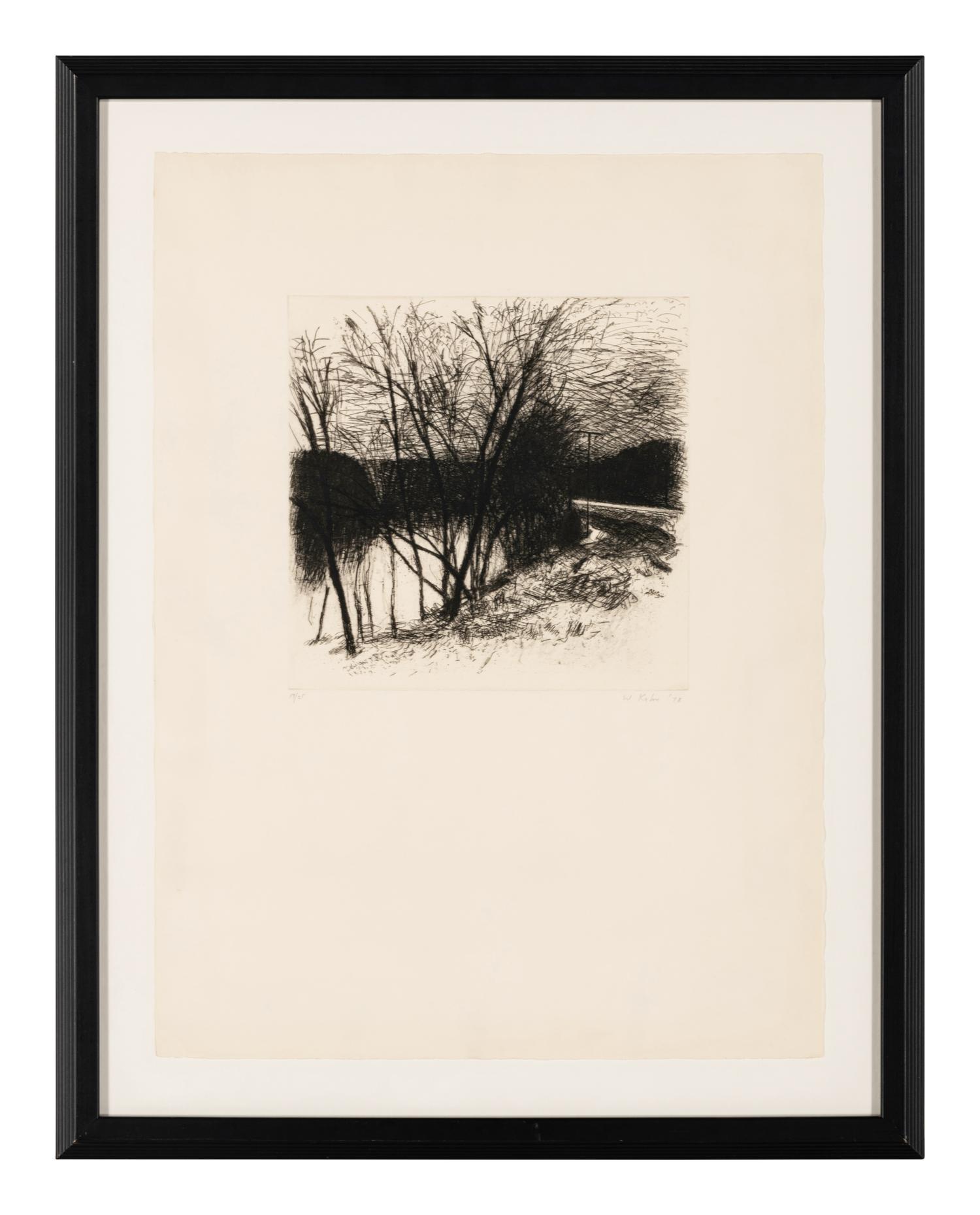 Landscape (#55) , 1978