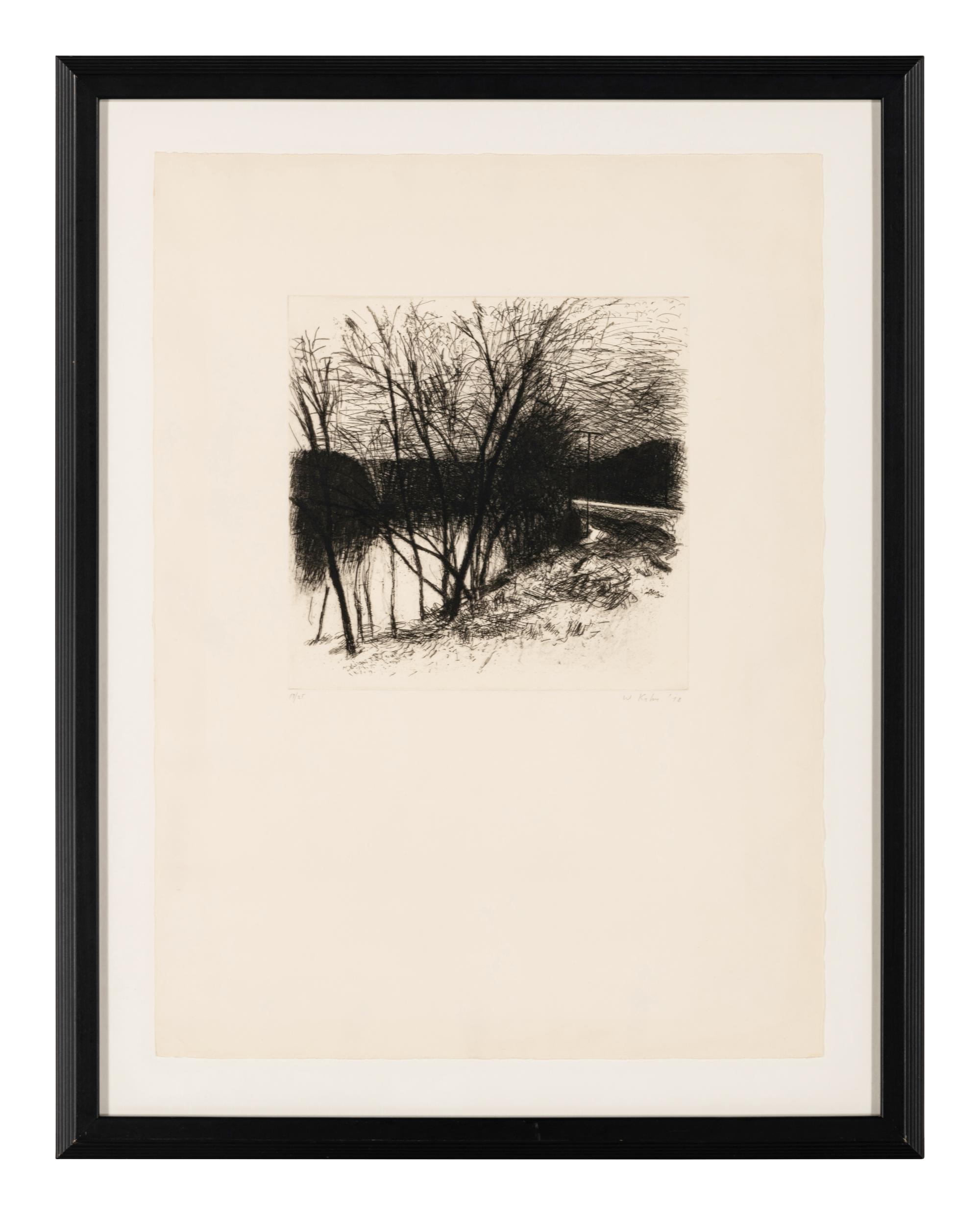 Landscape (#55) , 1978