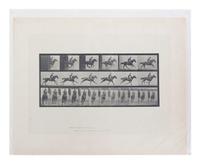 15 Plates from Animal Locomotion , 1887