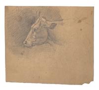 Farm Animal Studies: F older of Eighteen (18) Pencil Drawings