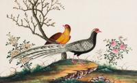 A Set of Twelve Chinese Export Watercolor and Pith Paintings of Exotic Birds
