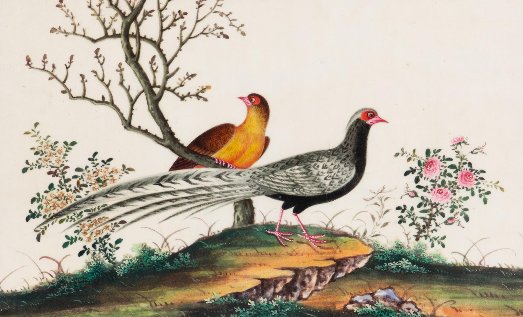 A Set of Twelve Chinese Export Watercolor and Pith Paintings of Exotic Birds
