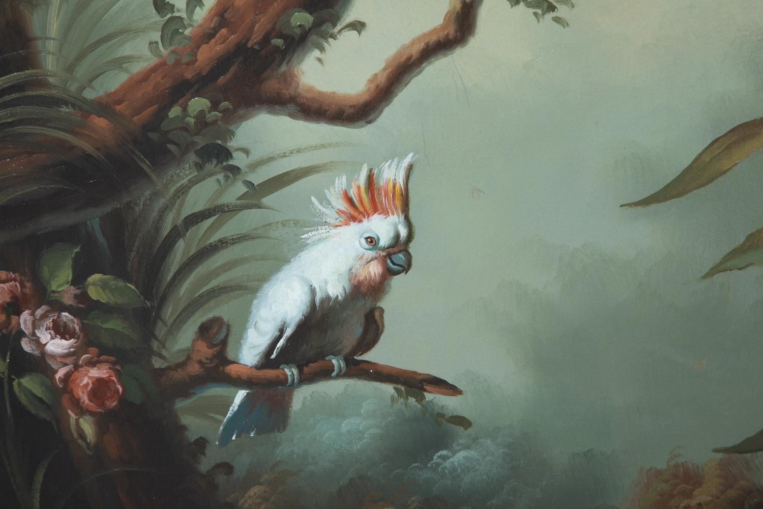 Exotic Birds in Misty Forest
