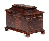 A Regency Tortoiseshell Tea Caddy