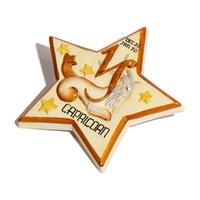 Capricorn 'Star Sign' wall plaque