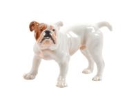 A Meissen Porcelain Bulldog Width 4 inches.