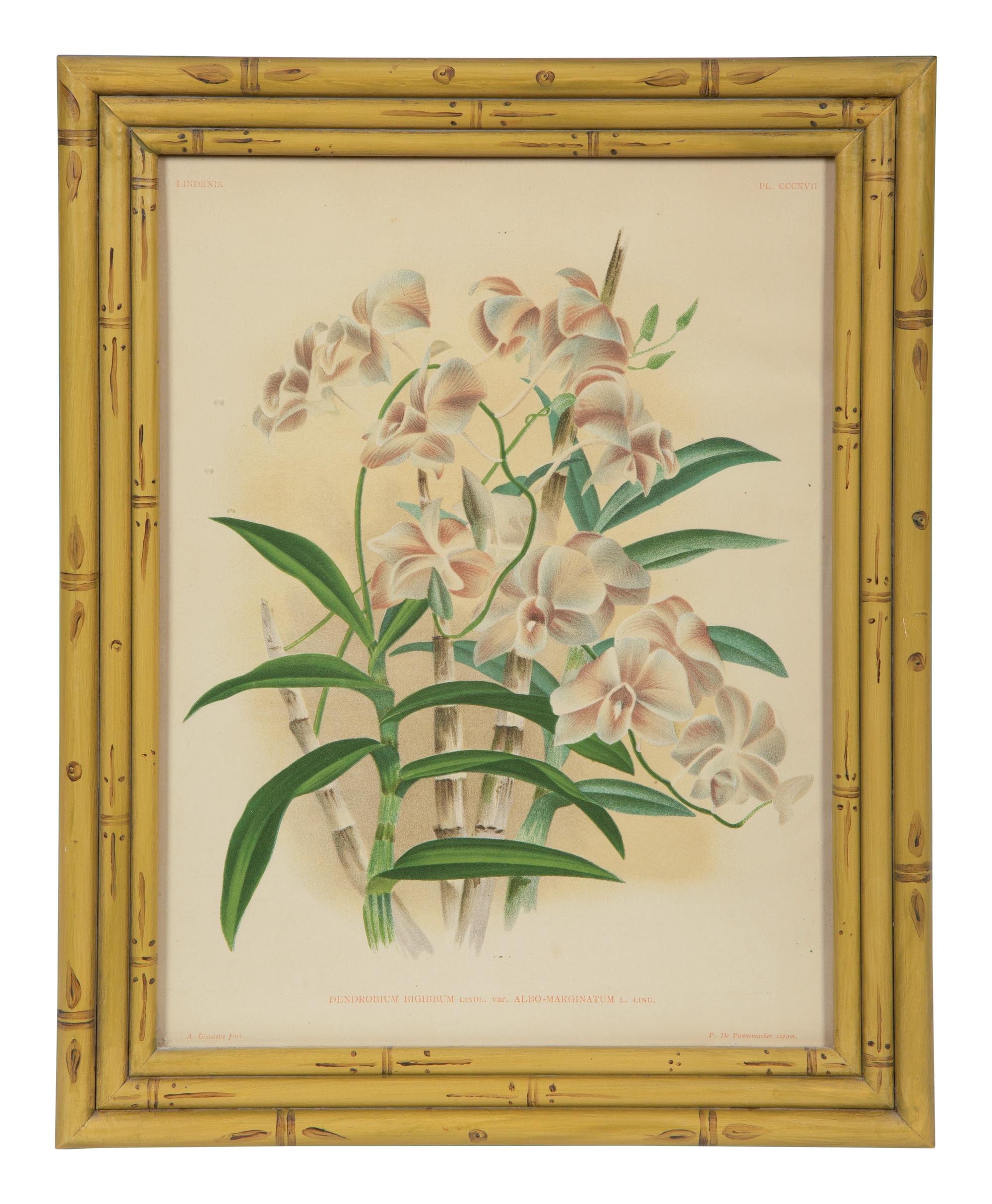A Set of Twelve Framed Botanical Lithographs