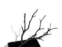 Ikebana Kit (Norton Family Christmas Project), 2012