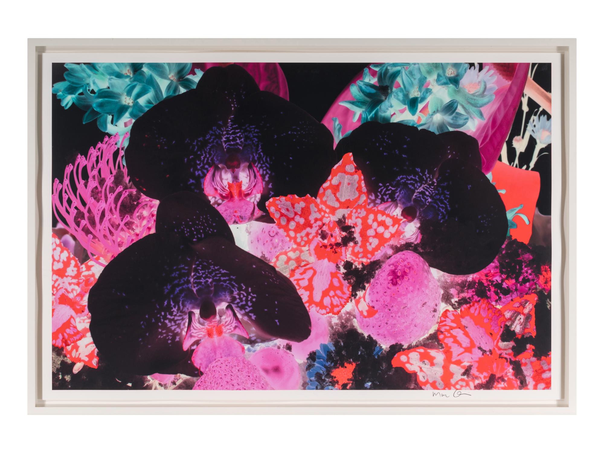 At the Far Edge of the Universe 01, 2010