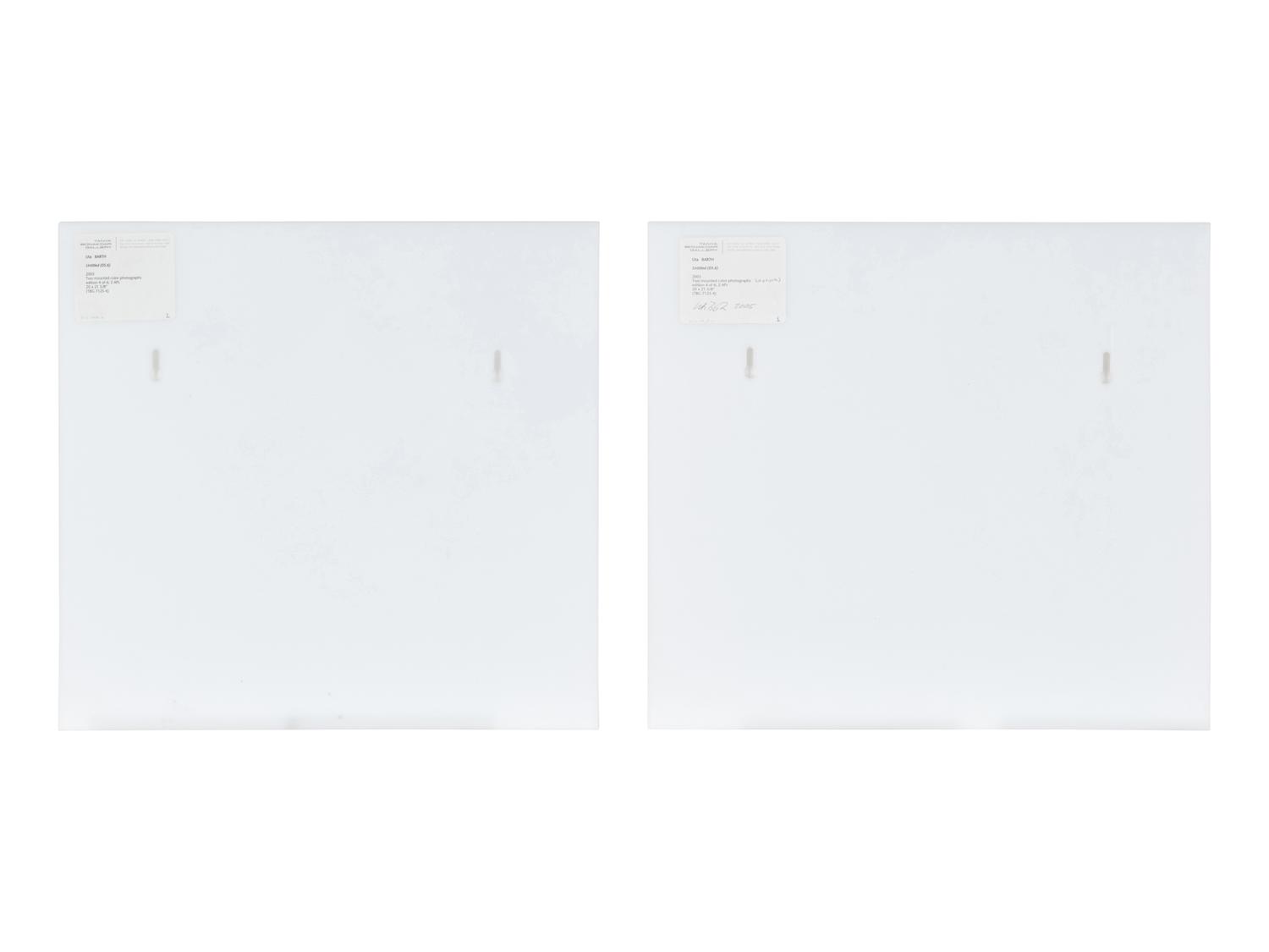 Untitled 05.6 (diptych), 2005