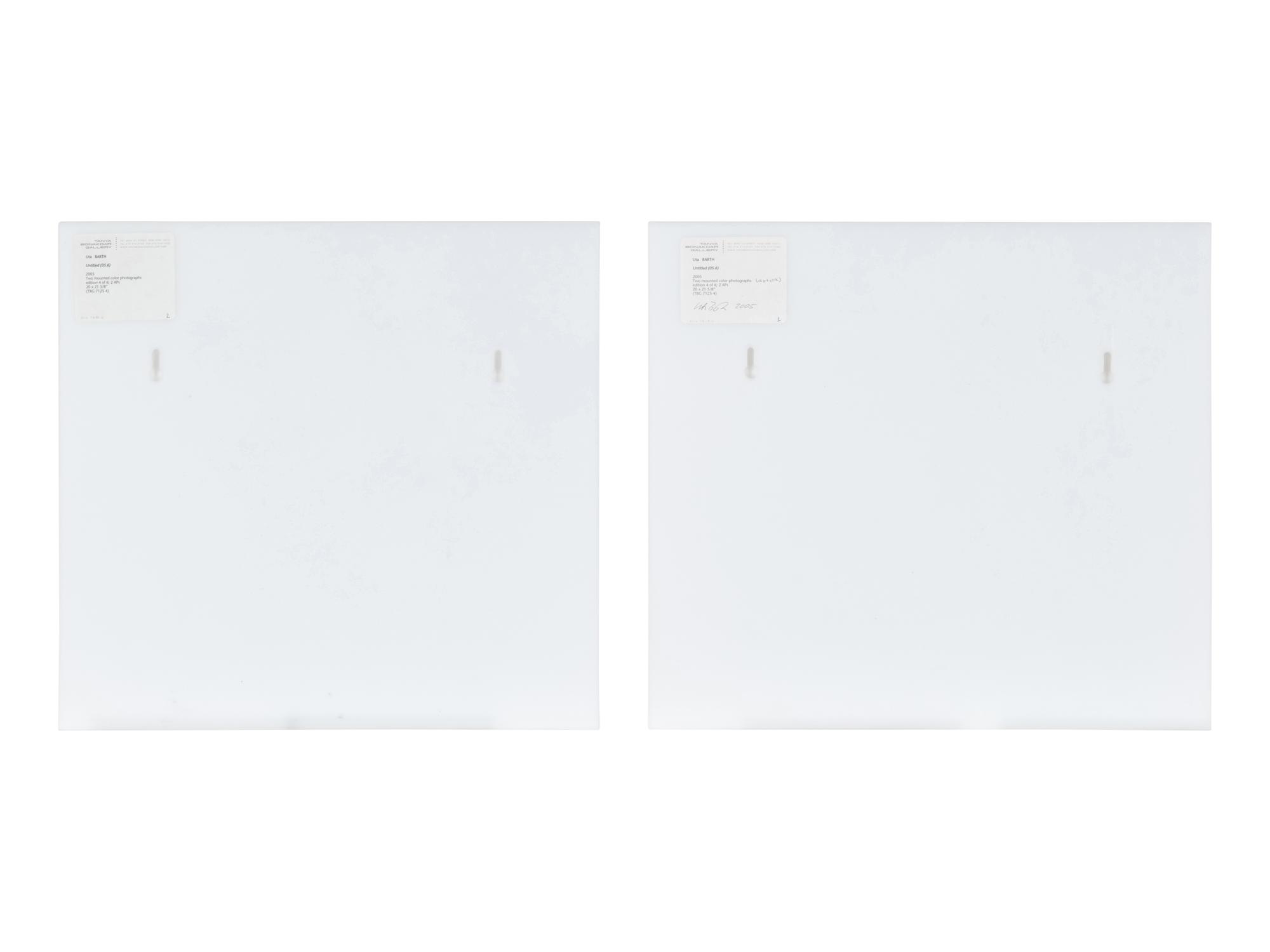 Untitled 05.6 (diptych), 2005