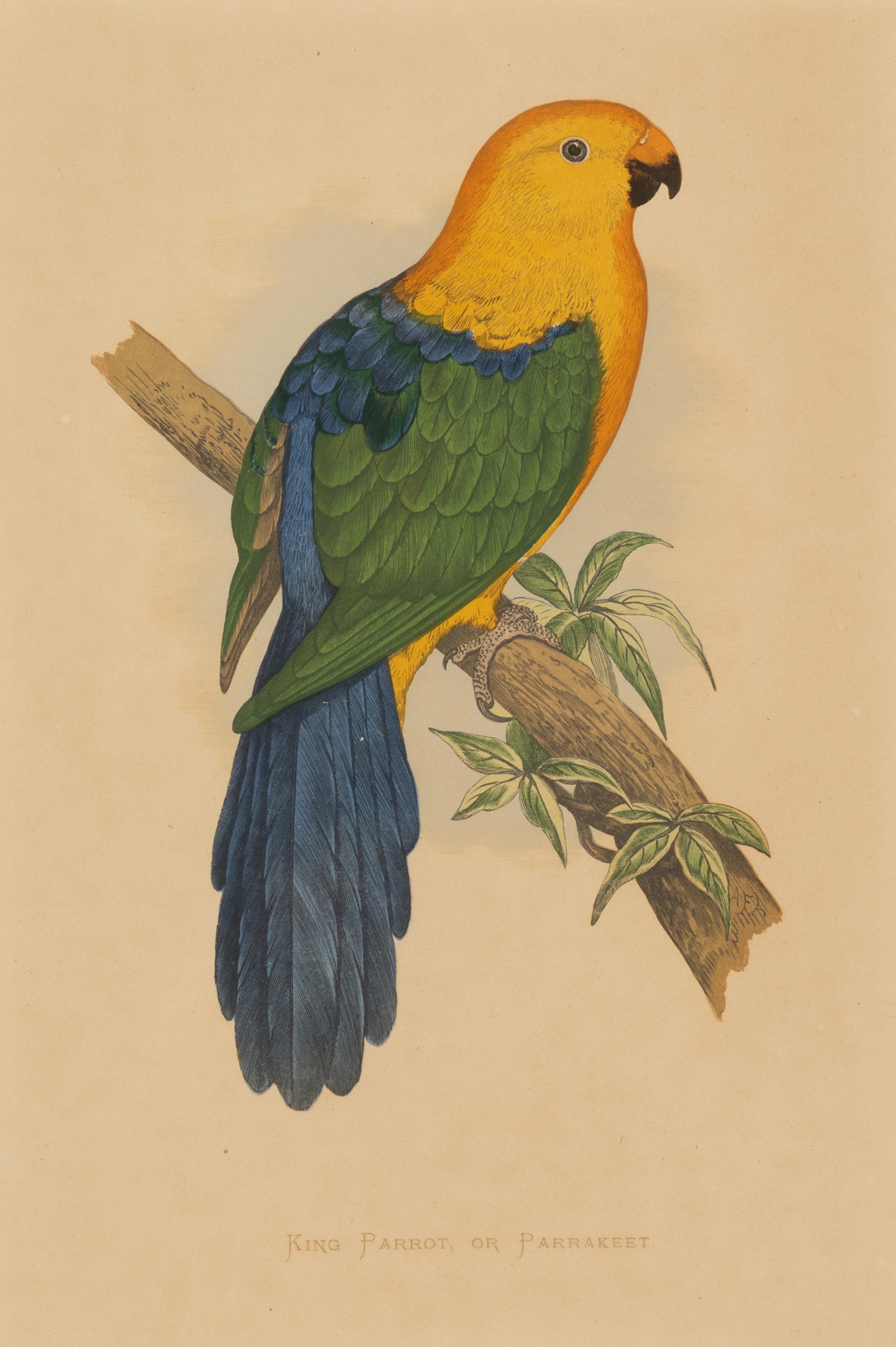 William Thomas Greene (English, 19th Century) — Parrots in Captivity (six plates, after Alexander F. Lydon)