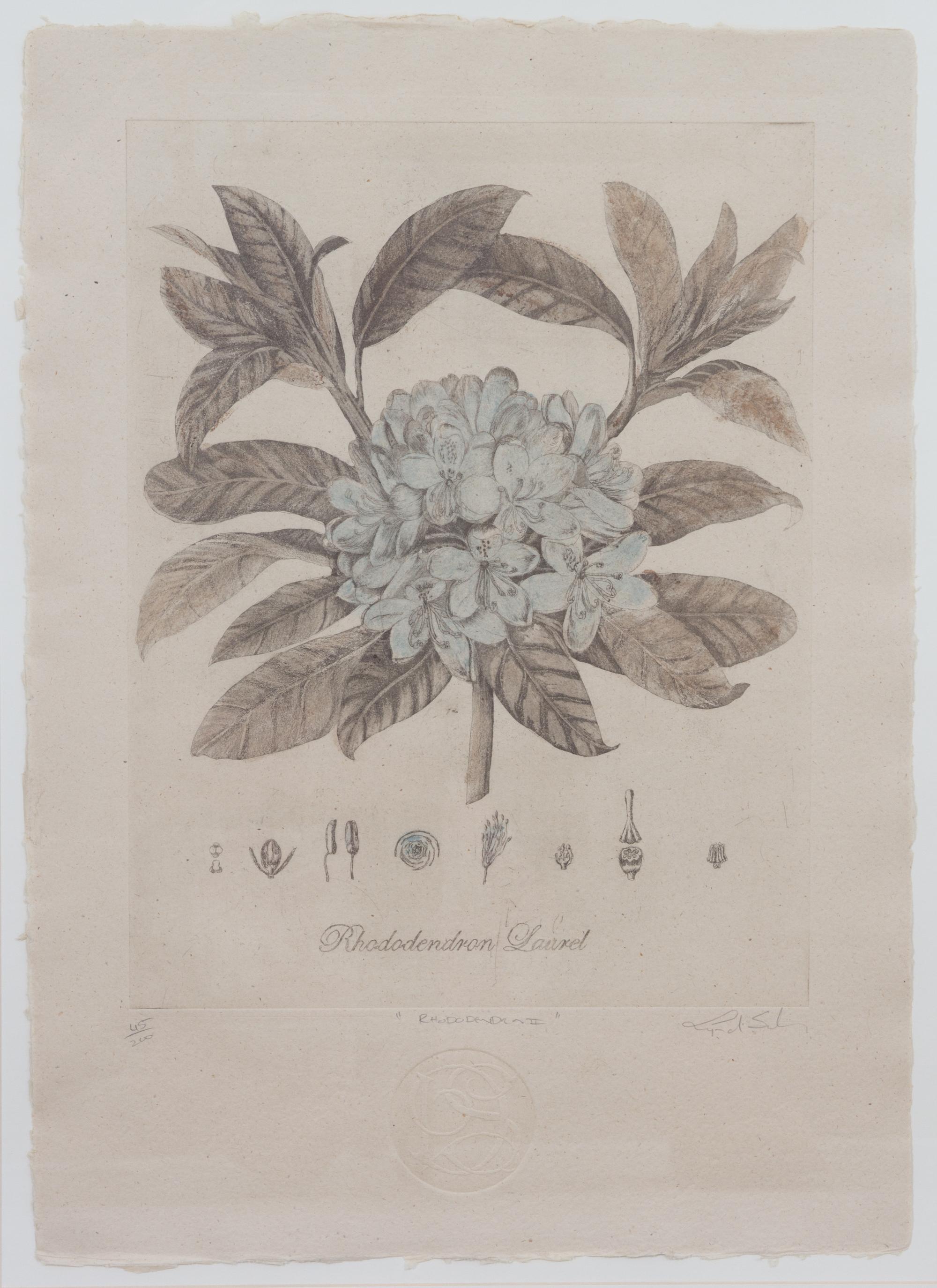 Three Botanical Engraving Reproductions Height 23 1/2 x width 16 1/2 inches. — 20TH CENTURY