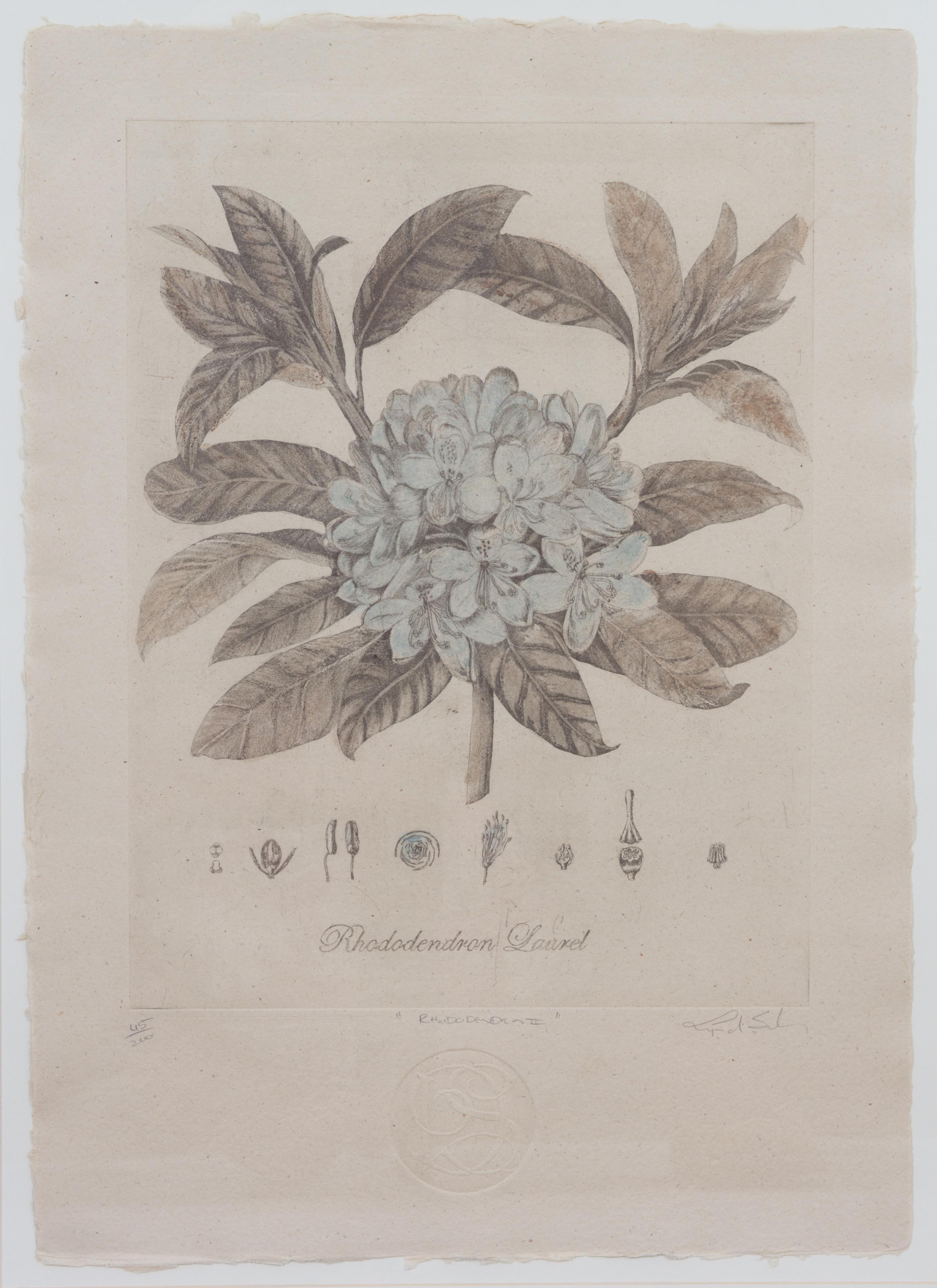 Three Botanical Engraving Reproductions Height 23 1/2 x width 16 1/2 inches. — 20TH CENTURY