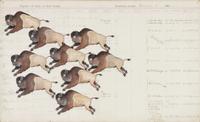 Group of two ledger drawings