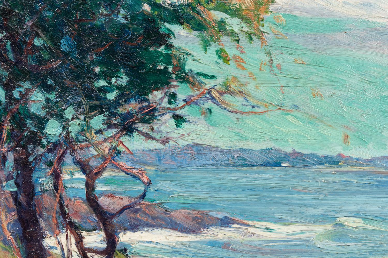 Cypress Trees at Carmel