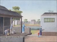 A group of five Chinese Export paintings depicting the manufacture of tea, first part 19th century 製茶圖一組五幅 十九世紀初