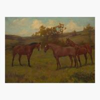 Arthur Wardle (British, 1864–1949) Horses in a Field