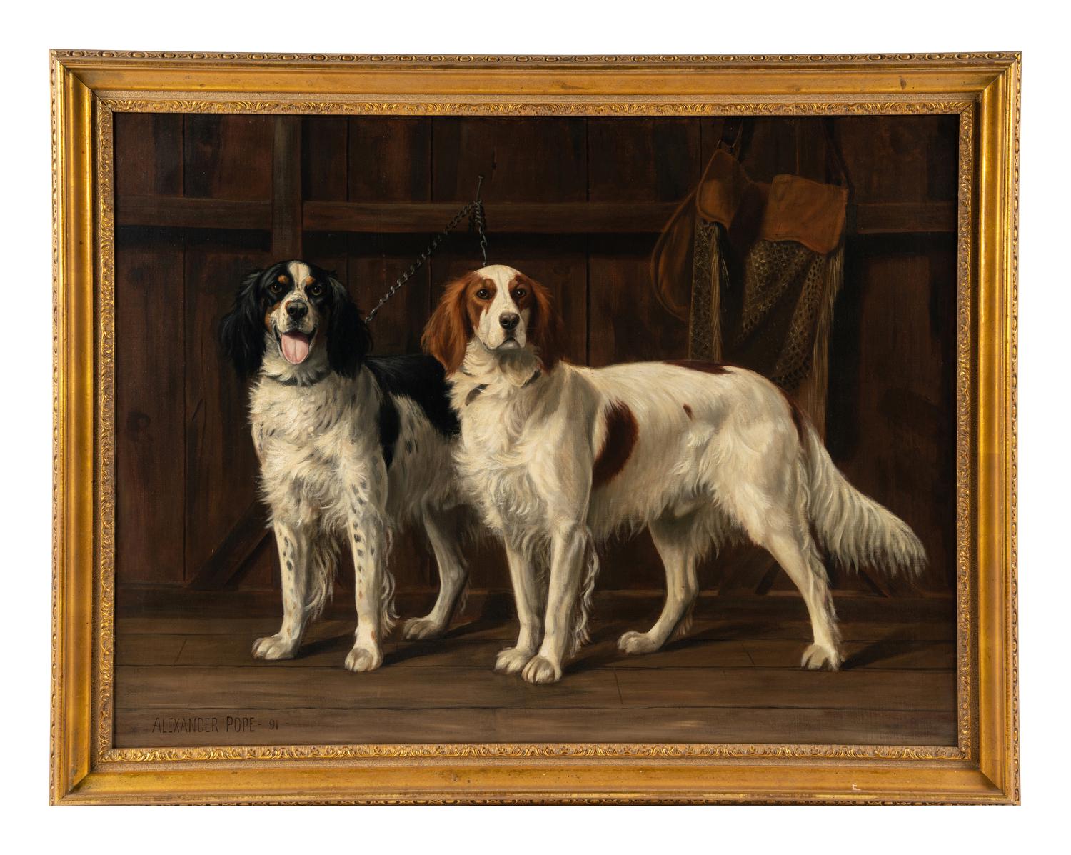English Setters