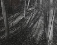 Douglas Frank, (American, 20th century), Woods Wisconsin