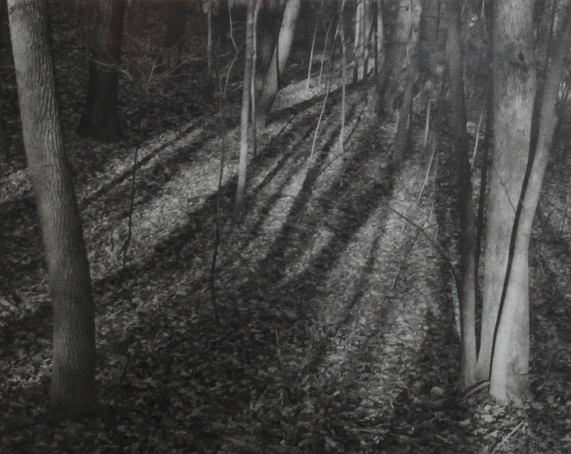 Douglas Frank, (American, 20th century), Woods Wisconsin