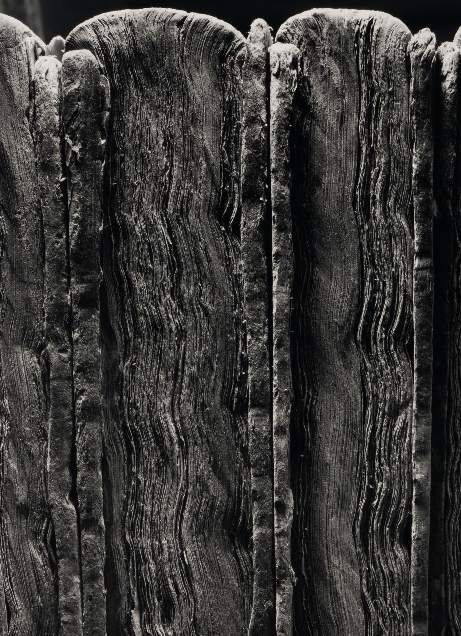 Four Old Books , 1995