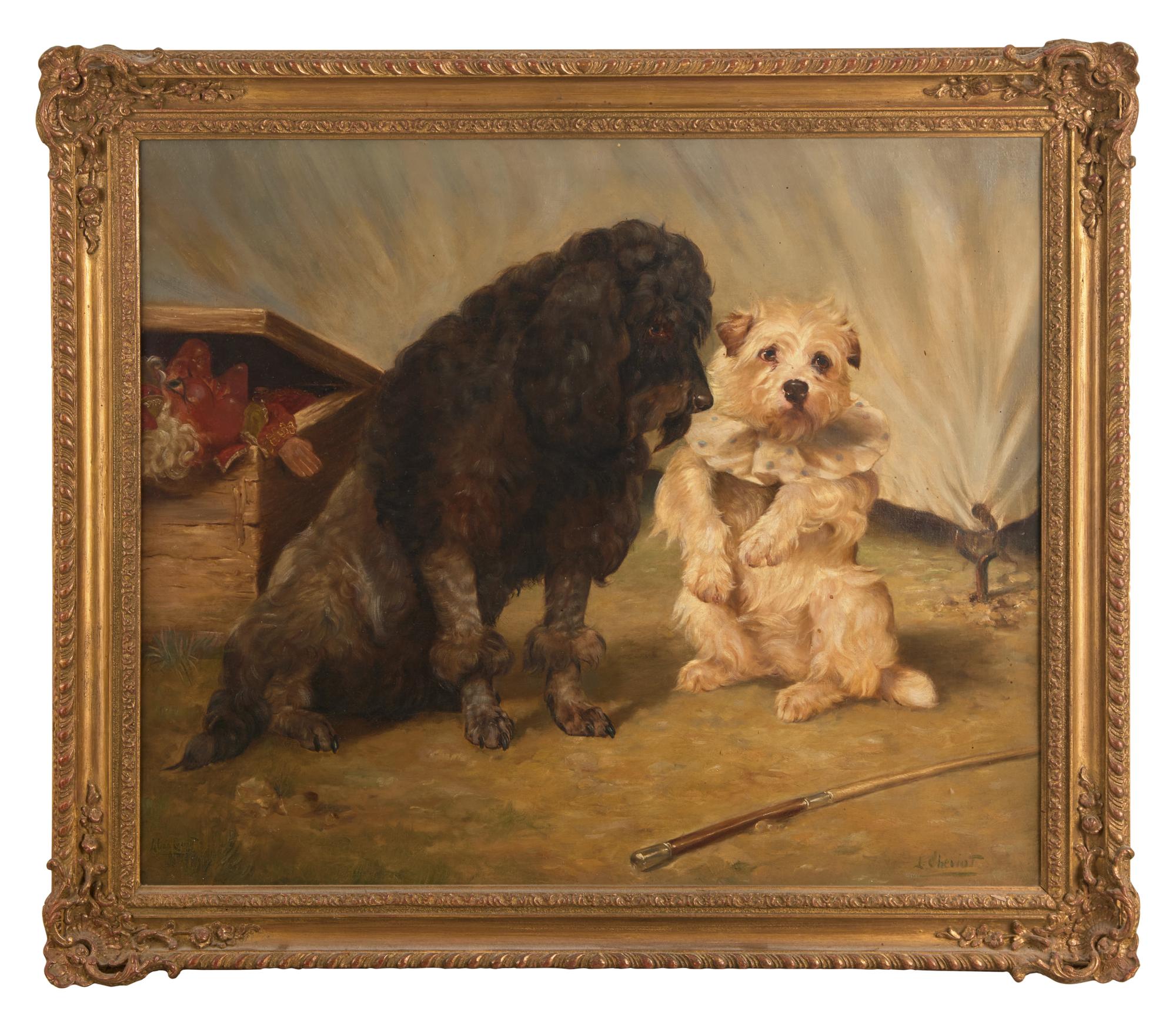 Circus Dogs
