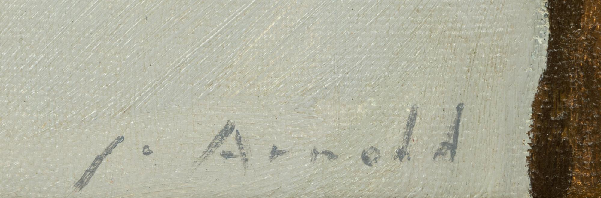 Mountain Snow