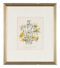 Three Botanical Prints
