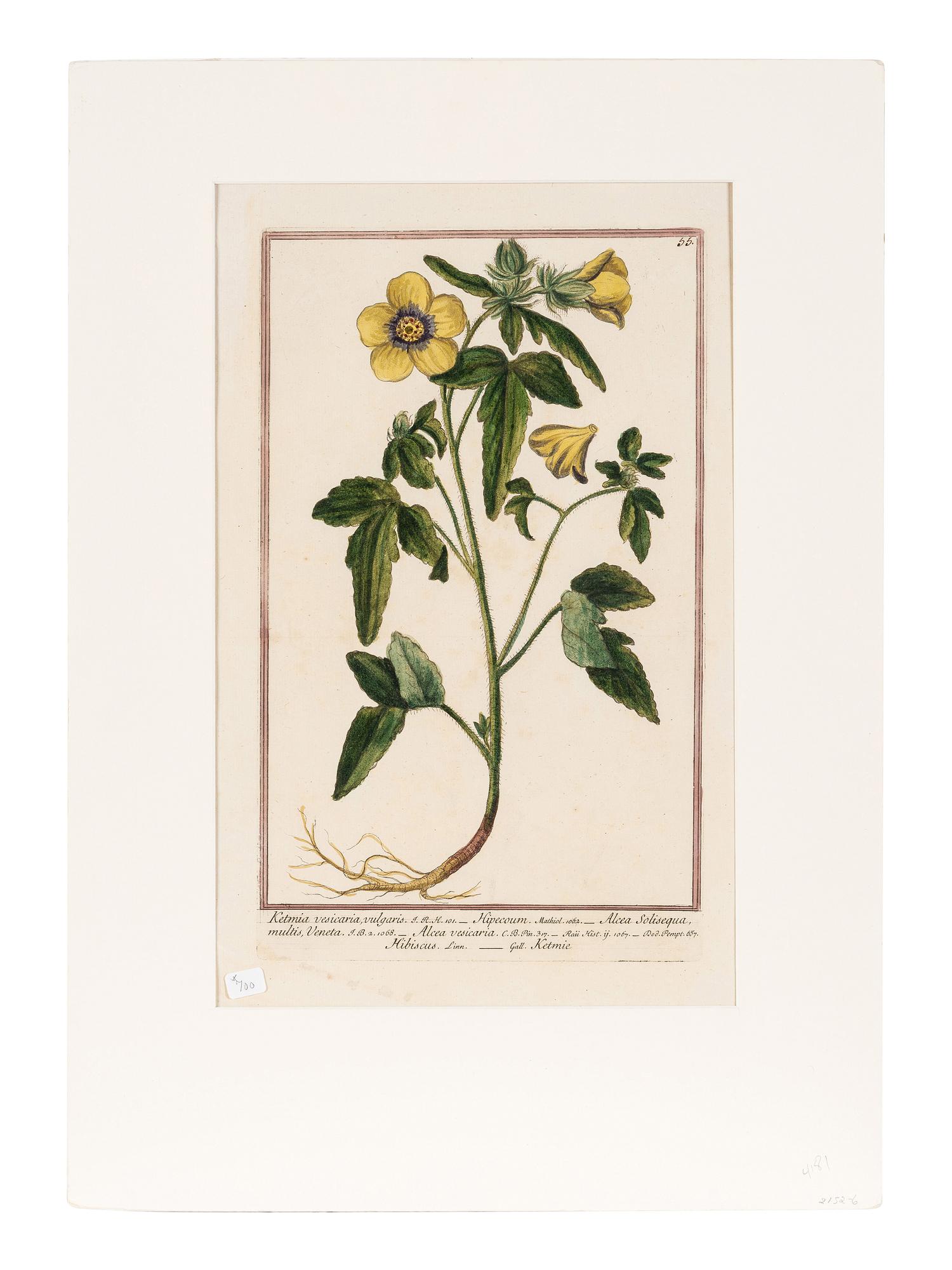 Giorgio Bonelli (Italian, 1724-1782)