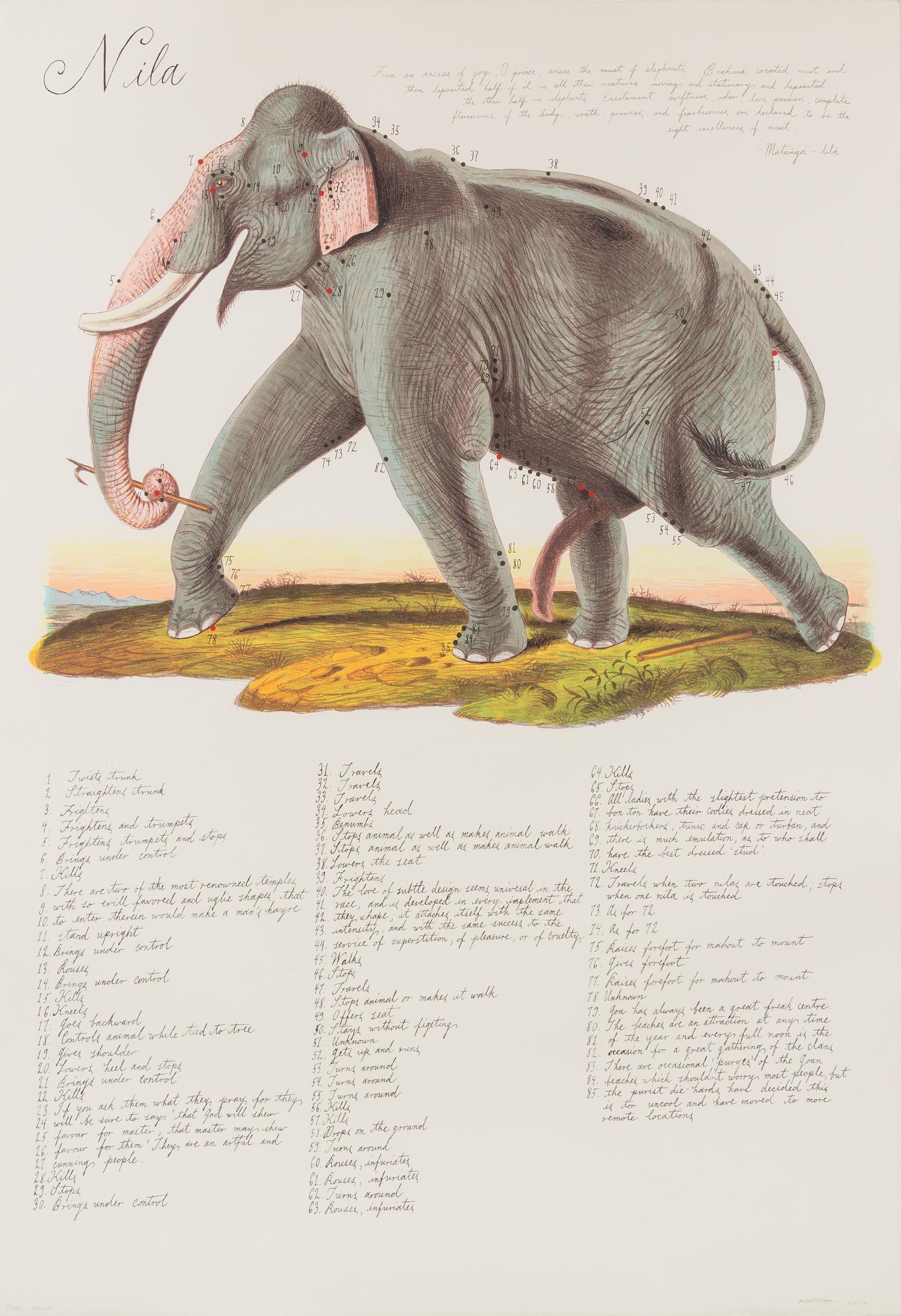 Walton Ford, (American, b. 1960), Nila, 2000