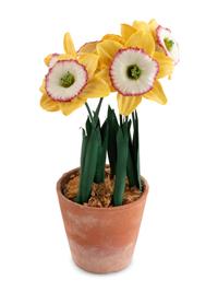 A Group of Tole and Porcelain Models of Flowers