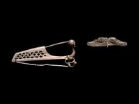 A Roman Silver Ornament and a Pannonian Silver Wing Fibula
