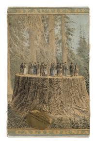 Griswold, Norman Whitmore (1843-1904). Beauties of California. Views and Descriptions of Yosemite Valley, Big Trees, Geysers, Lake Tahoe, Donner Lake, San Francisco... San Francisco: H.S. Crocker & Co., 1884.
