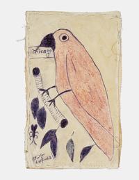 Chicago (Birds)