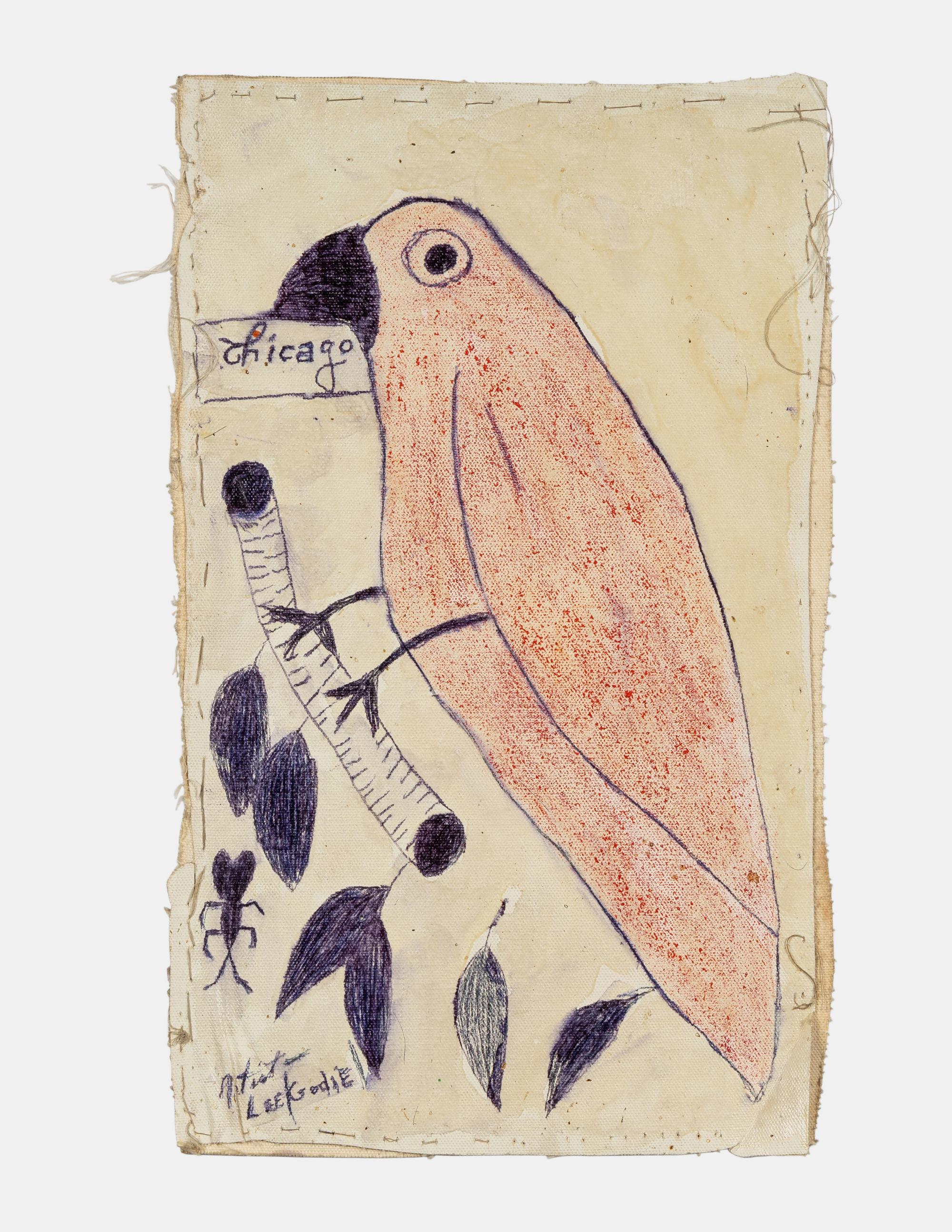 Chicago (Birds)