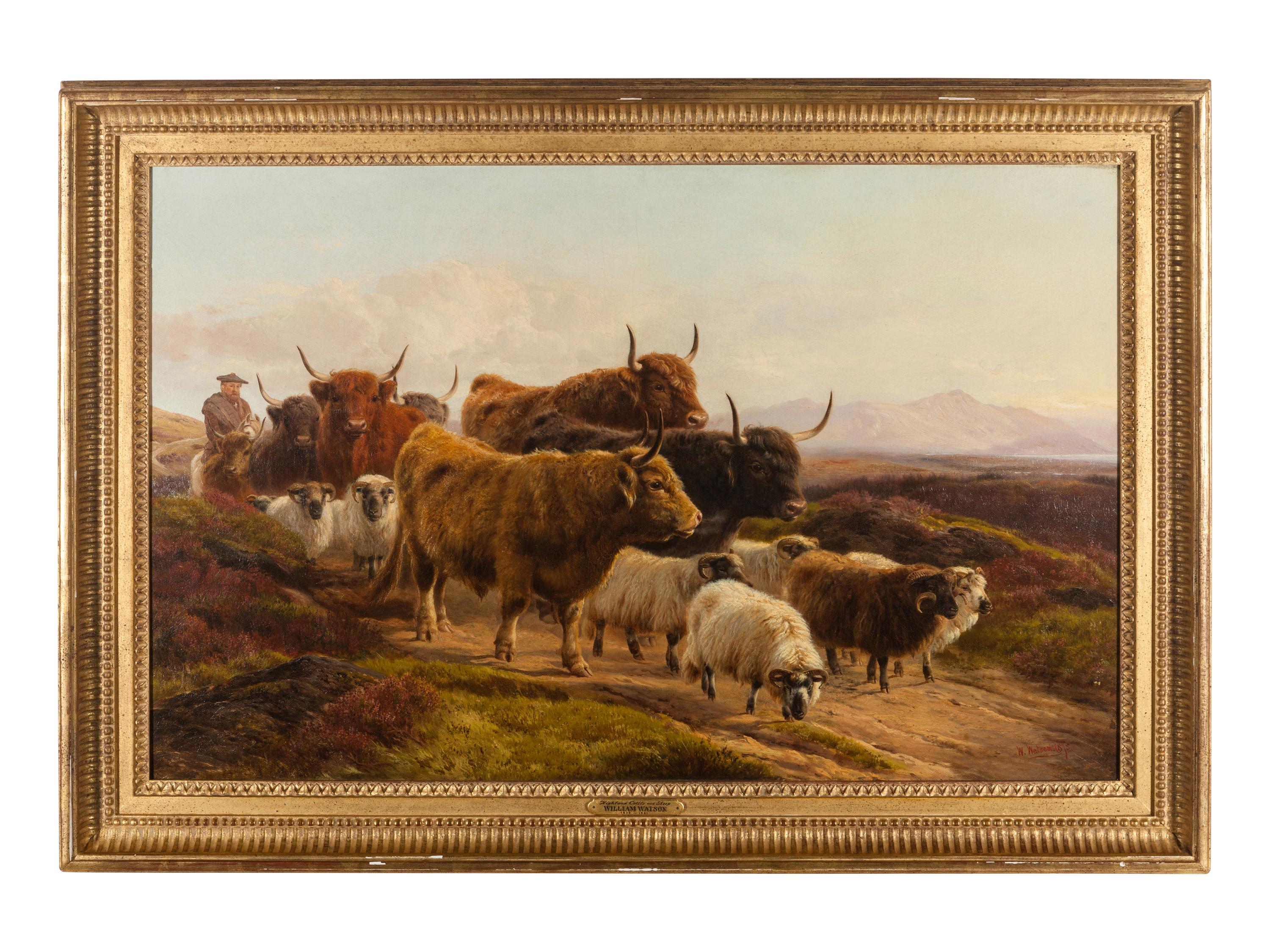 Highland Cattle and Sheep