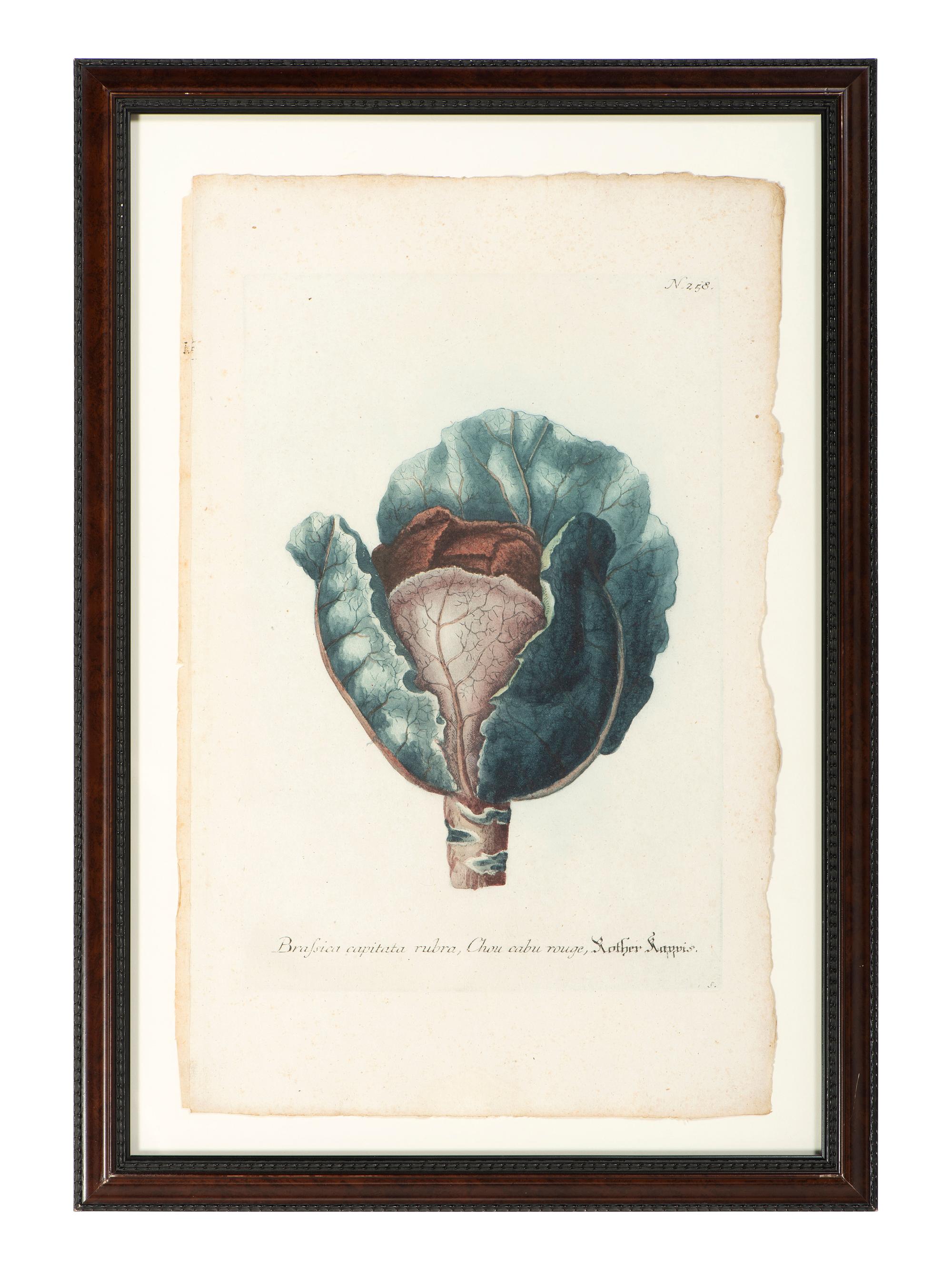Nine Vegetable Aquatints