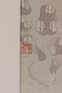 Wang Pu