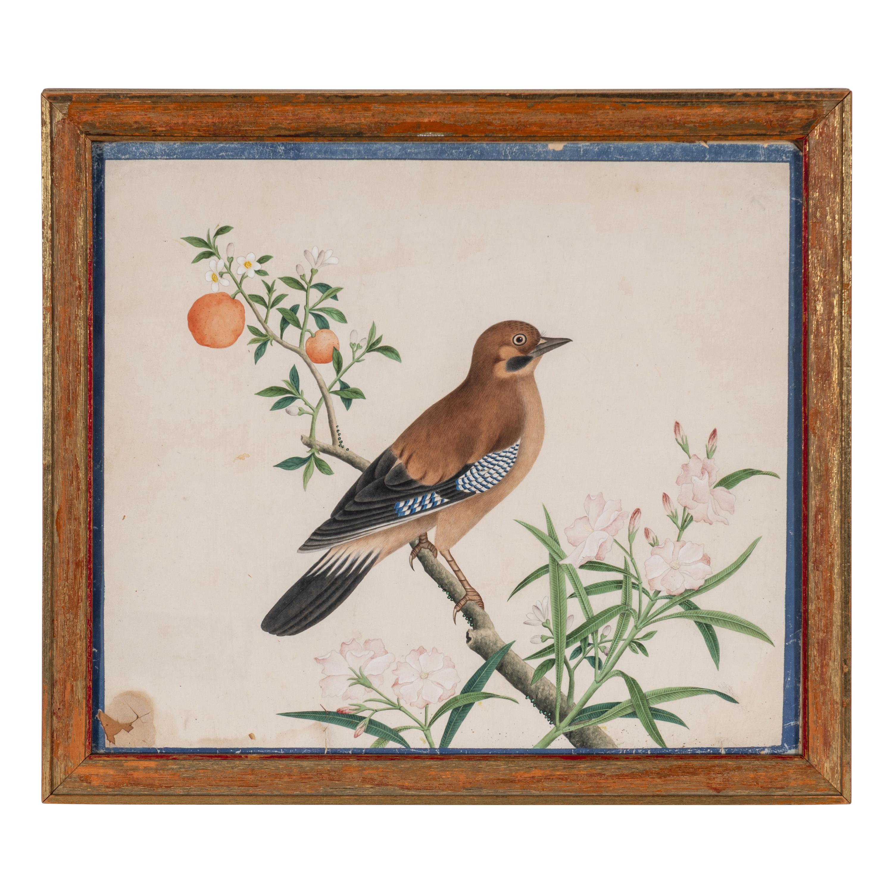 A Set of Four Chinese Watercolor Paintings