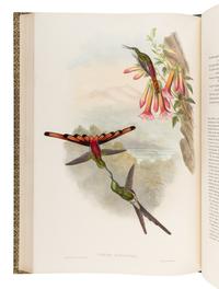 GOULD, John (1804-1881). A Monograph of the Trochilidae, or Family of Humming-Birds . London: Taylor and Francis for the Author, [1849]-1861.