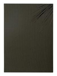 The Flowering (The Fourfold Sense), 2007 (complete portfolio of thirteen)
