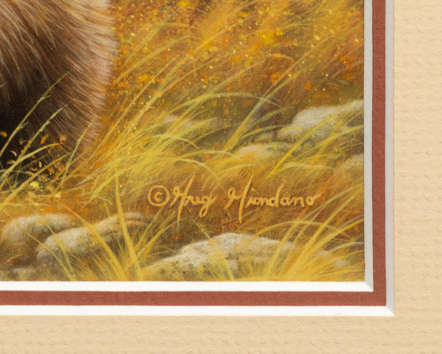 Silver Tip Grizzly