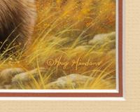 Silver Tip Grizzly