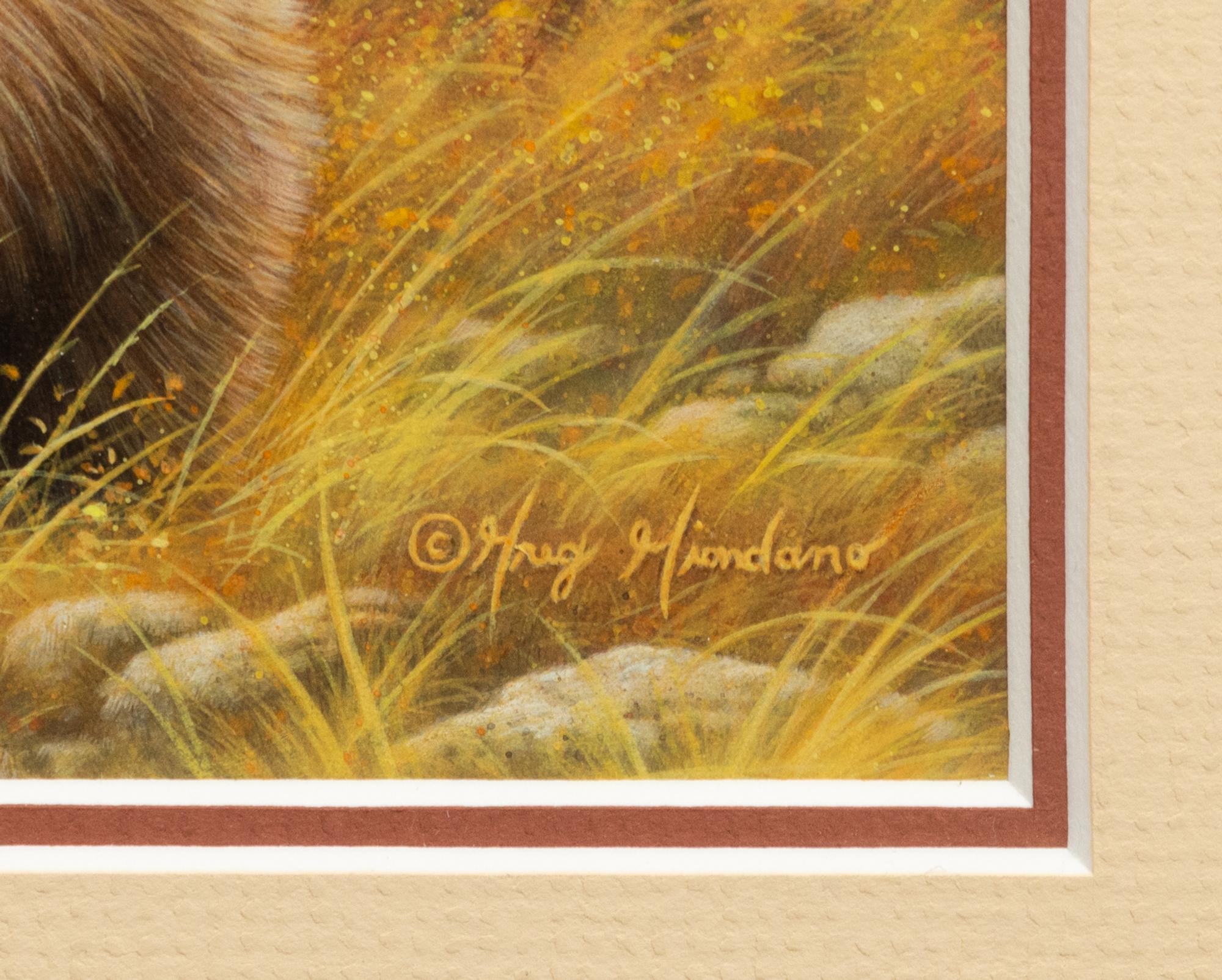 Silver Tip Grizzly