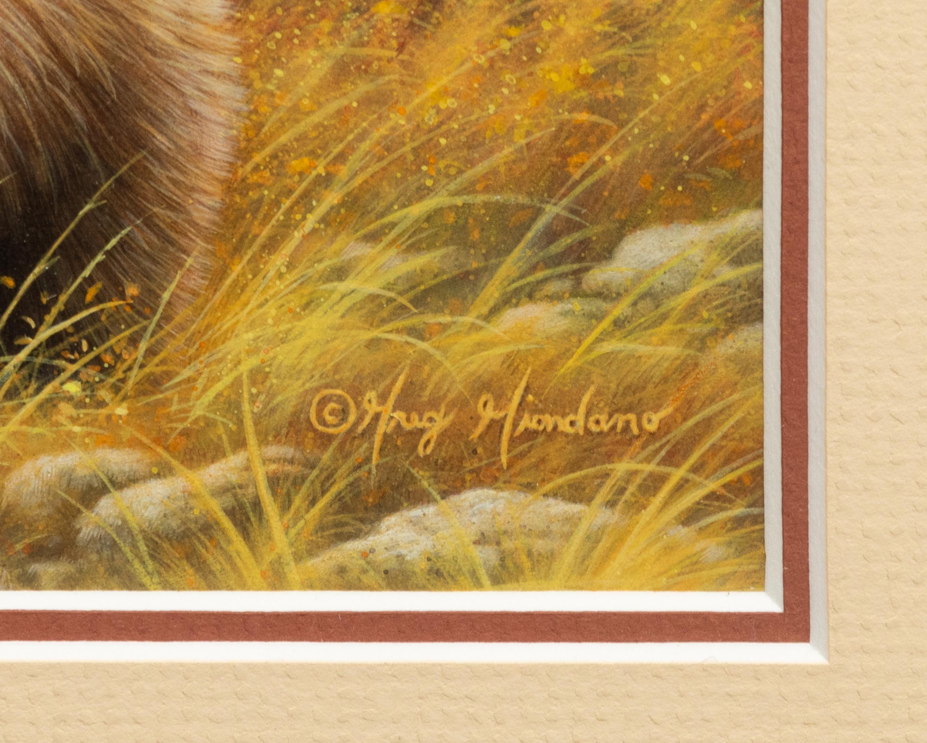 Silver Tip Grizzly