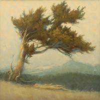 Bristlecone Pine