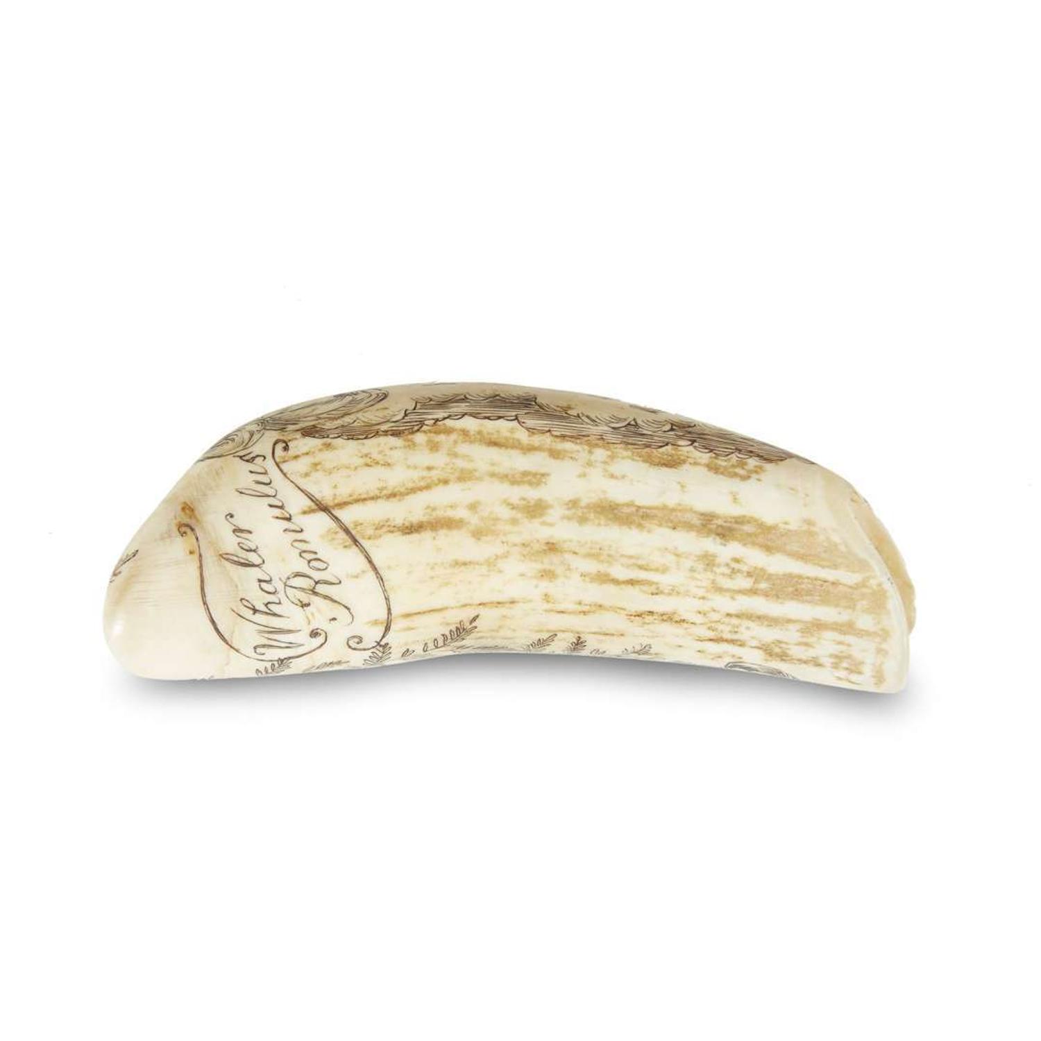 Pair of scrimshaw-decorated whale teeth Charles W. DeMontigny (1885-1957), Massachusetts, early 20th century