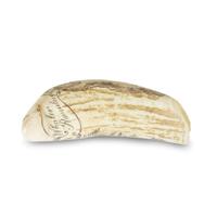 Pair of scrimshaw-decorated whale teeth Charles W. DeMontigny (1885-1957), Massachusetts, early 20th century