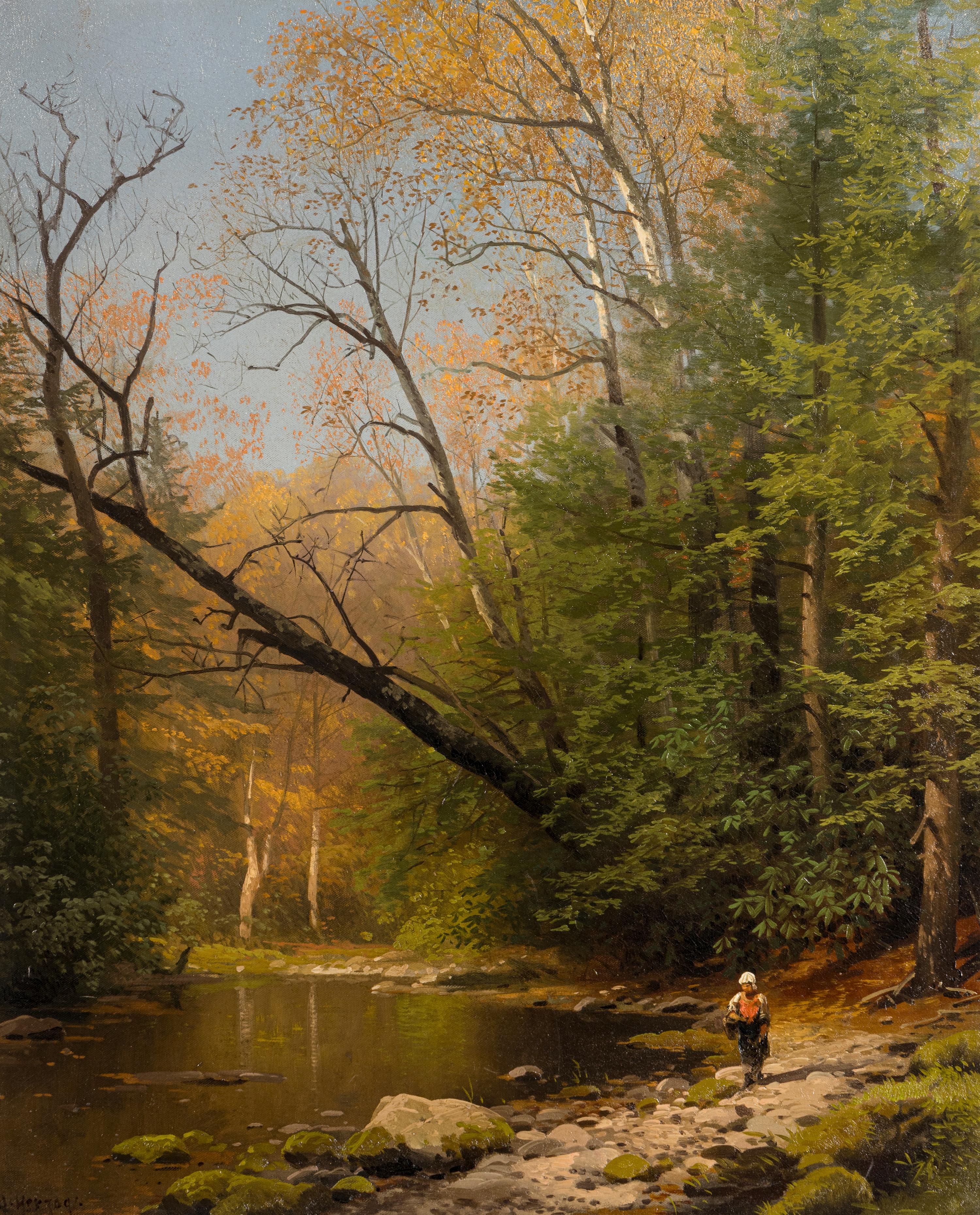 Woodland Stream
